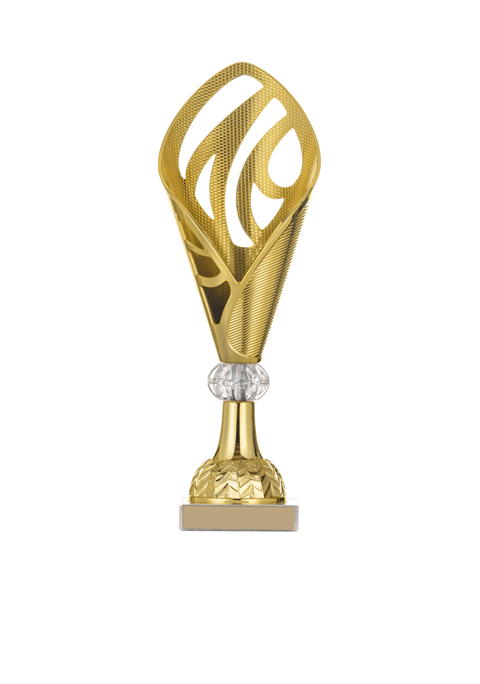 https://adholasimbwori.com/wp-content/uploads/2022/11/trophy_03.png