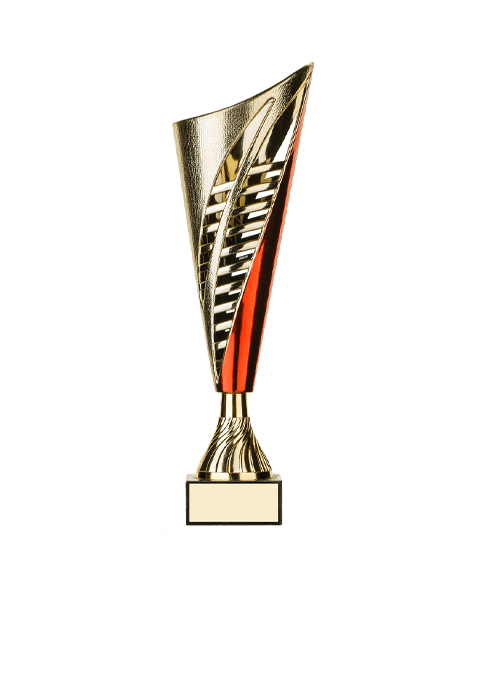 https://adholasimbwori.com/wp-content/uploads/2022/11/trophy_05.png