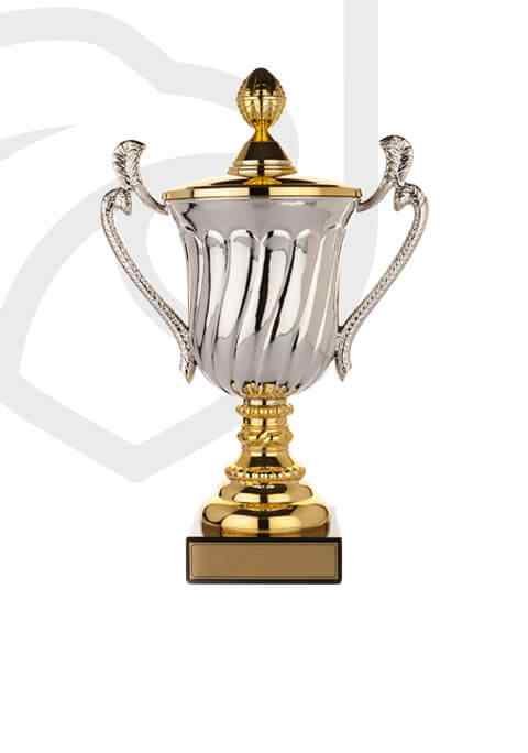 https://adholasimbwori.com/wp-content/uploads/2022/11/trophy_overlay_02.jpg